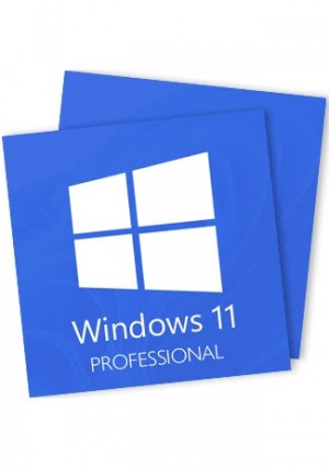 Windows 11 Professional - 2 Keys