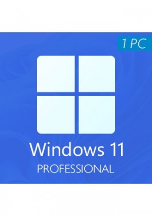 Windows 11 Professional CD-KEY