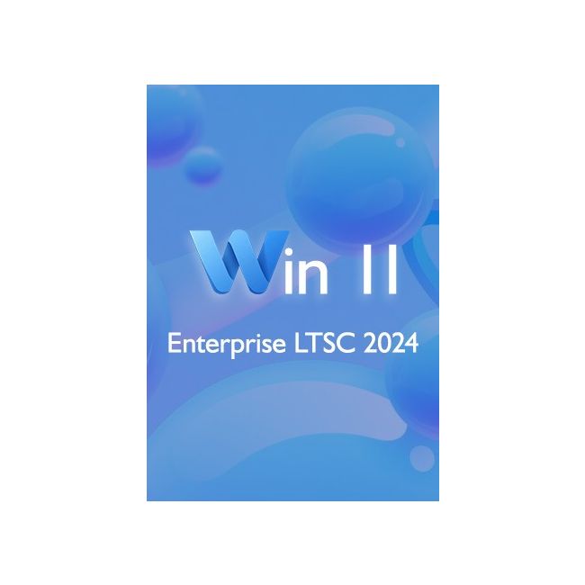 Win 11 Enterprise LTSC 2024 (1 PC)
